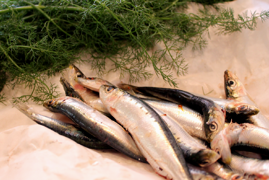 Pasta con le sarde - Step 1 - Immagine 1