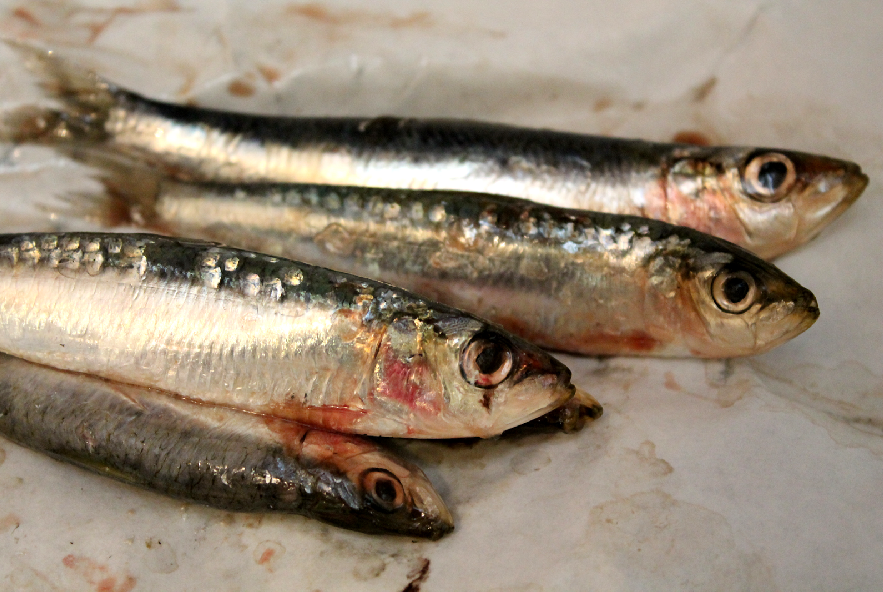 Sarde fritte con insalata fresca d'inverno - Step 1 - Immagine 1