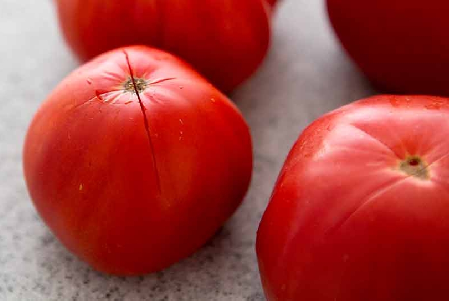 Capelli d'angelo con pomodori e gamberi - Step 1 - Immagine 1