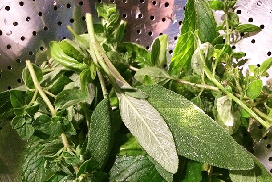 Trecce al pesto aromatico, pomodori e zucchine - Step 1 - Immagine 1