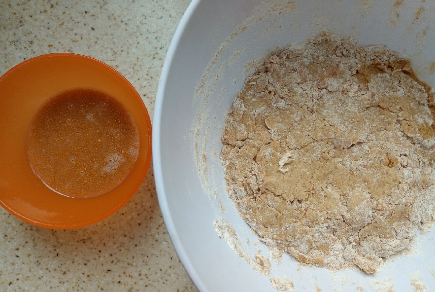 Pane integrale al latte di riso, lievito naturale - Step 2 - Immagine 1
