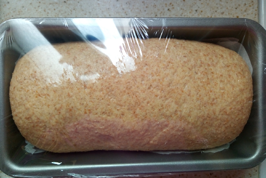 Pane integrale al latte di riso, lievito naturale - Step 7 - Immagine 2