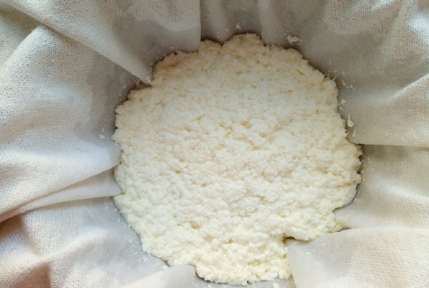 Tartufini di formaggio fresco fatto in casa - Step 2 - Immagine 2