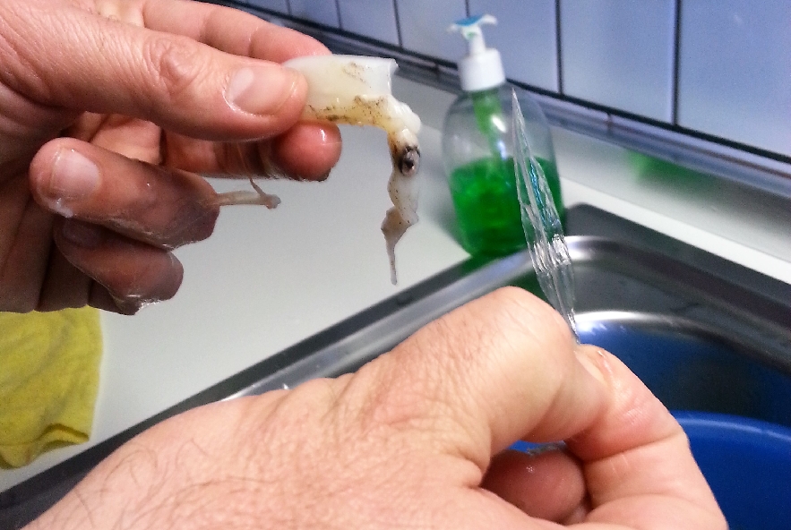 Fritturina di calamaretti - Step 1 - Immagine 2