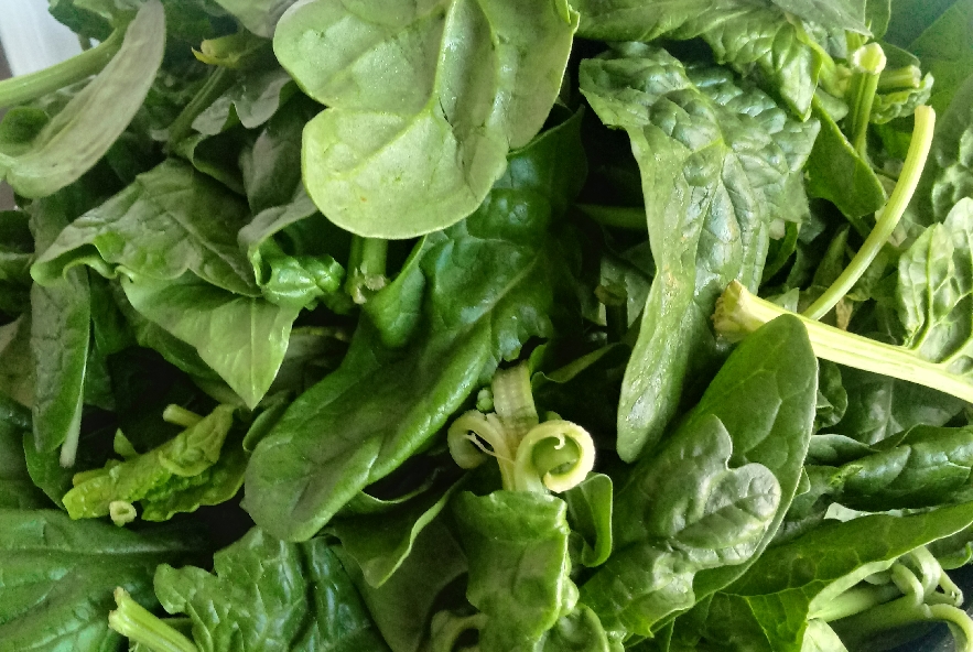 Torta salata di pasta brisè con zucca e spinaci - Step 2 - Immagine 1