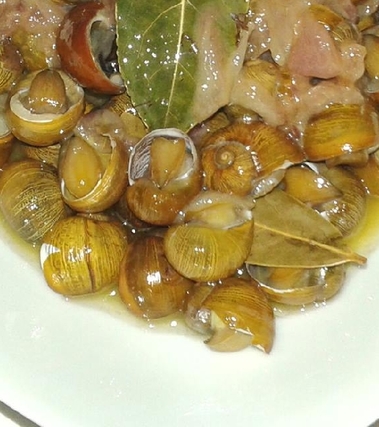 Municeddhi (lumache nere di terra) alla brindisina