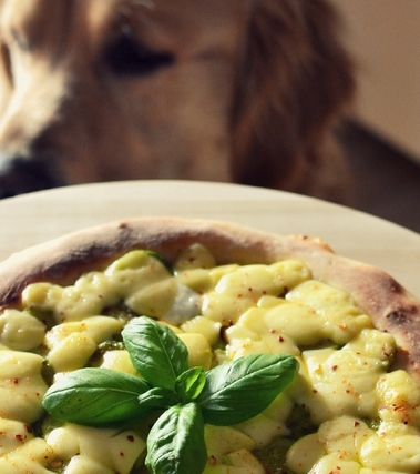 Pizza con pesto di zucchine e edamer