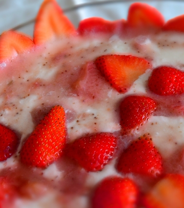 Torta fredda allo yogurt con fragole