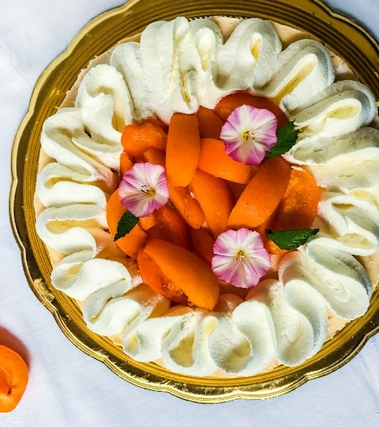 Bavarese di albicocche