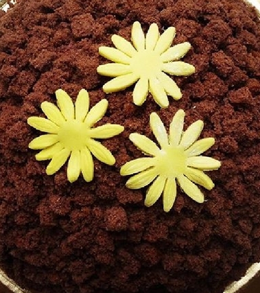 Mimosa al cioccolato