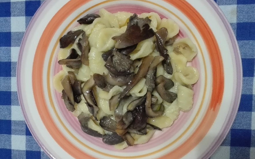 Orecchiette con purea di fave e funghi cantarelli