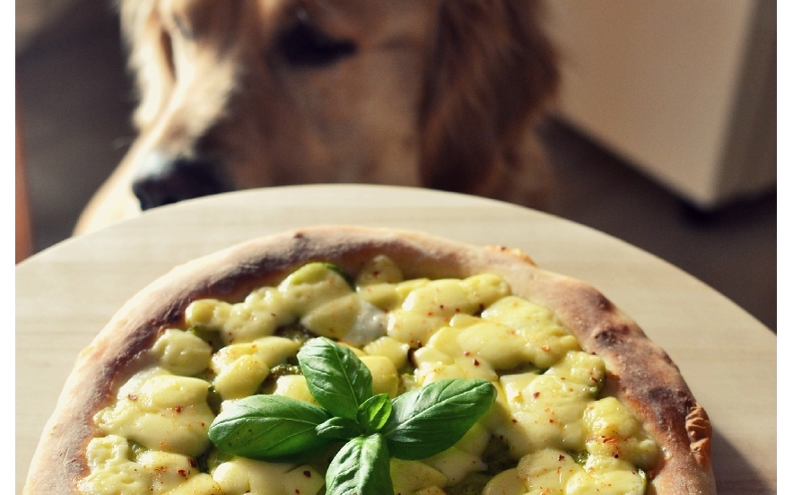 Pizza con pesto di zucchine e edamer