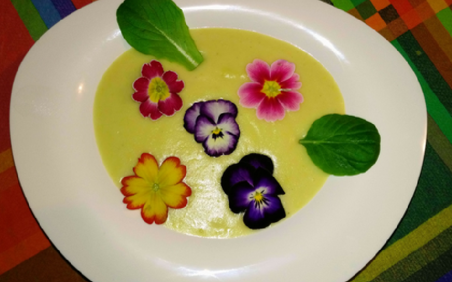 Potage parmentier primaverile