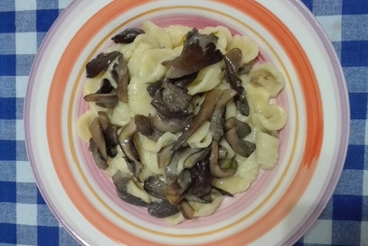 Orecchiette con purea di fave e funghi cantarelli