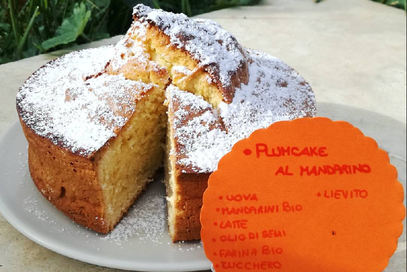 Plumcake al mandarino